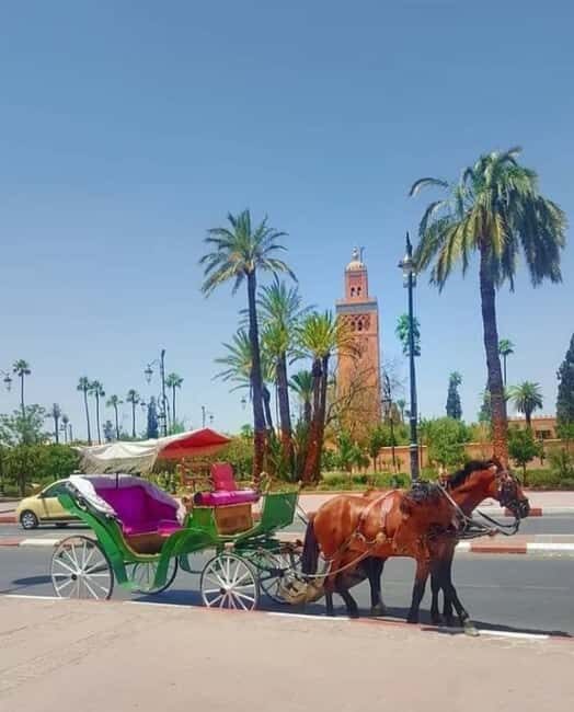 Marrakech: 1-Hour Traditional Horse-Drawn Carriage Tour - Who Will Love This Tour?