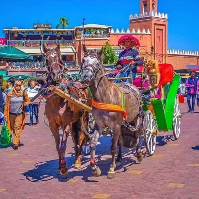 Marrakech: 1-Hour Traditional Horse-Drawn Carriage Tour - The Sum Up