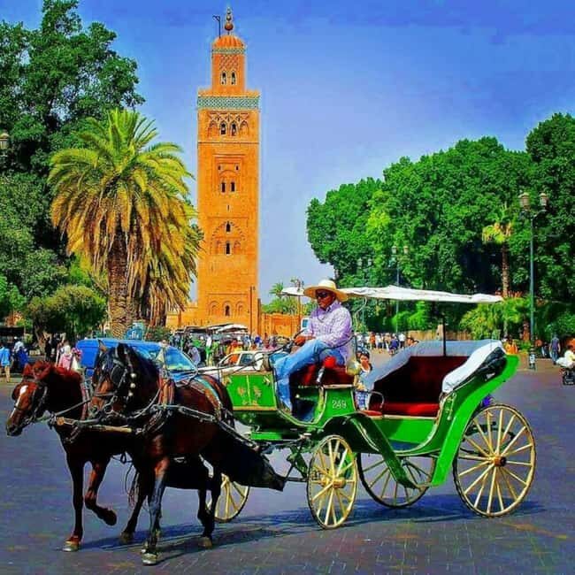 Marrakech: 1-Hour Traditional Horse-Drawn Carriage Tour - FAQ