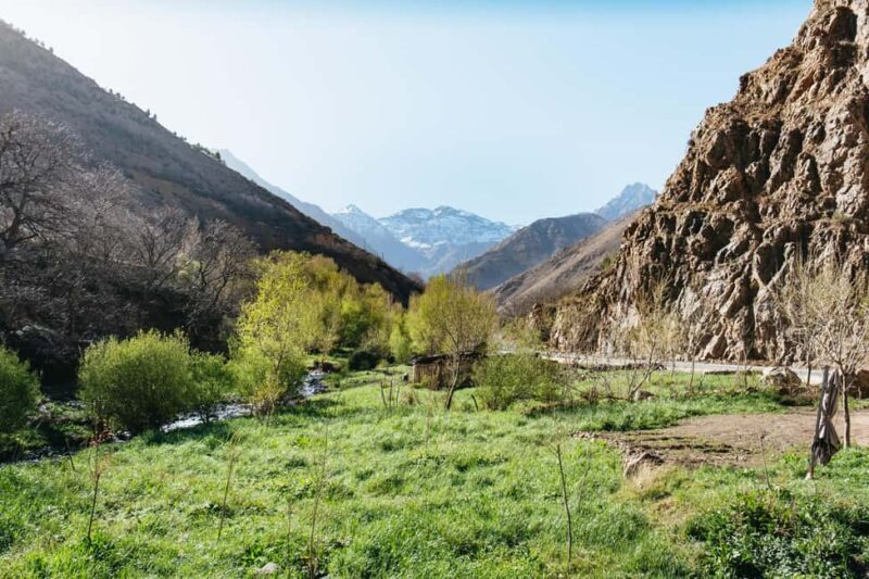 Marrakech: 2-Day Atlas Mountains Trek with Village Stay - Key Points