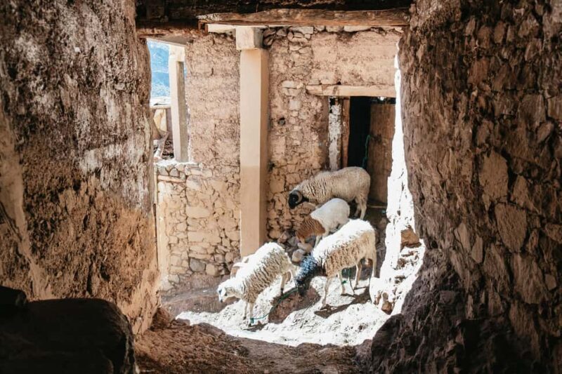 Marrakech: 2-Day Atlas Mountains Trek with Village Stay - FAQ