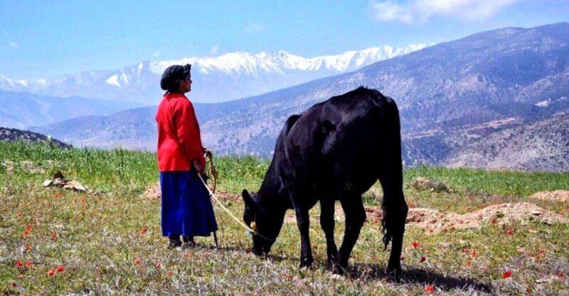 Marrakech: 2-Day Atlas Villages Trekking Tour - Key Points