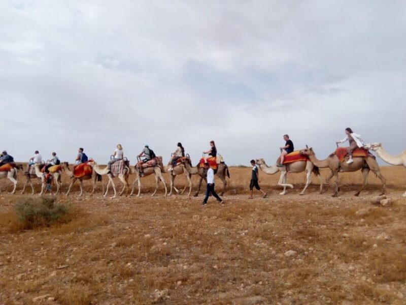 Marrakech: 2-Day Atlas Villages Trekking Tour - Real Traveler Insights & Experiences