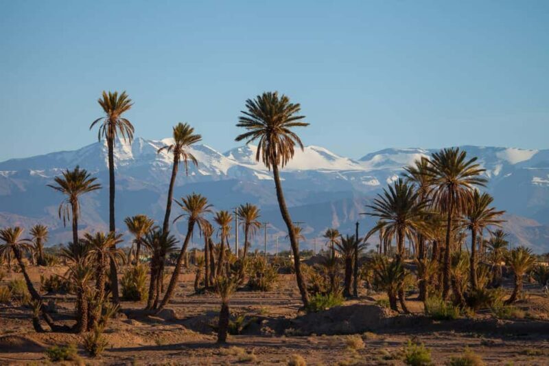 Marrakech: 2-Day Tour to Dades Gorges and Valley of Roses - What to Expect from This 2-Day Tour