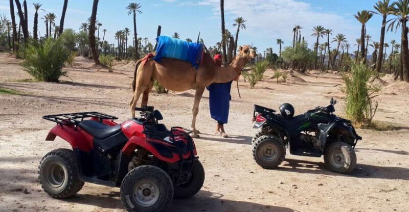 Marrakech: 2-Hour Quad Bike & Camel Ride in Palmeraie - Diving Into the Experience: What You Can Expect