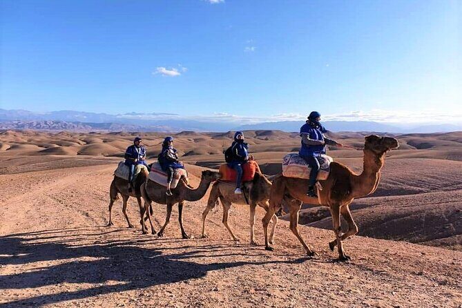 Marrakech 2 HOURS Quad Bike in agafay desert Half day Tours - The Sum Up