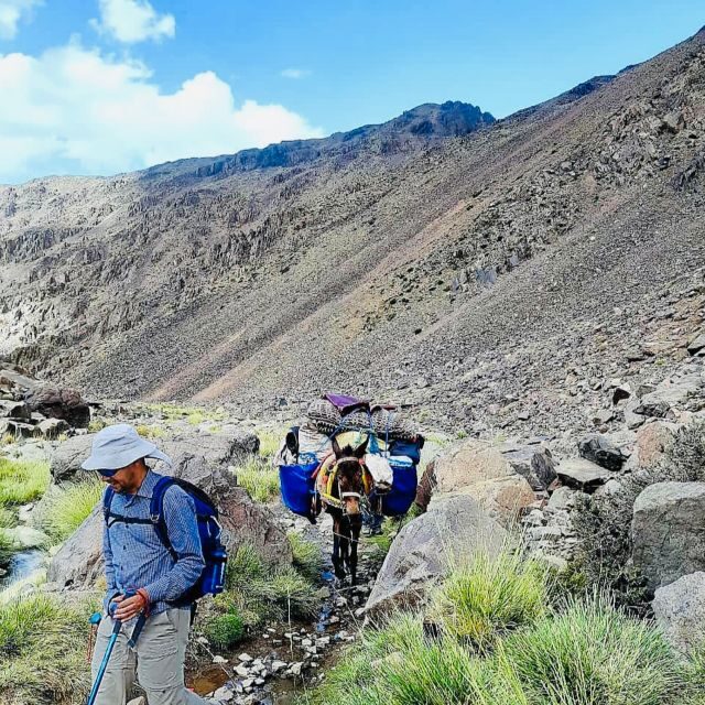 Marrakech: 3-Day Atlas Mountains Berber Villages Trek - Who Would Love This Tour?