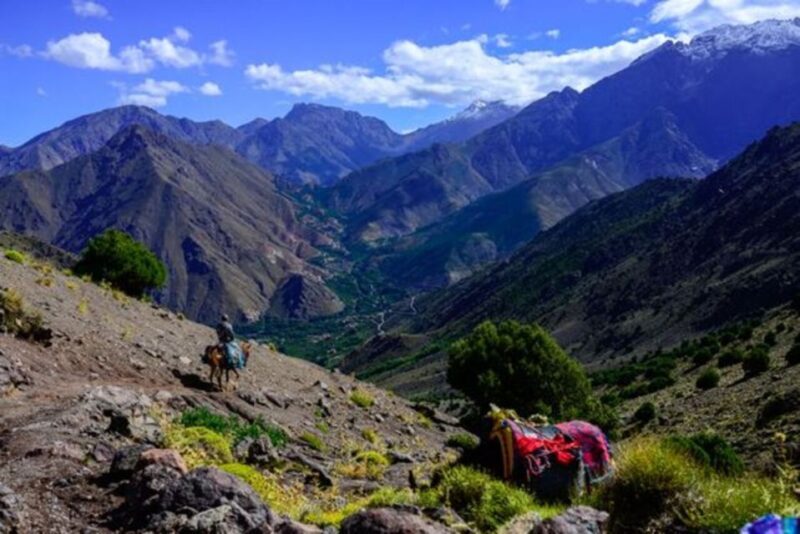 Marrakech: 3-Day High Atlas Mountains and Three Valleys Trek - Why This Tour Offers Great Value