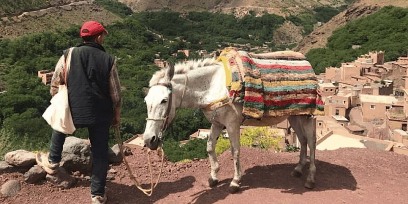 Marrakech: 3-Day High Atlas Mountains Hiking Tour - FAQ
