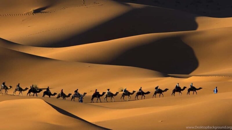 Marrakech: 3-Day Lux Desert Camp Tour with Quad & Camel Ride - Who Would Love This Tour?