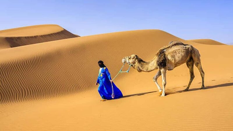 Marrakech: 3-Day Luxurious Desert Tour to Fes via Merzouga. - Frequently Asked Questions