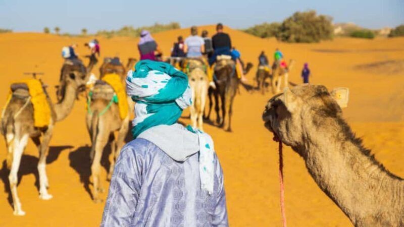 Marrakech: 3-Day Luxurious Desert Tour to Fes via Merzouga. - Final Thoughts