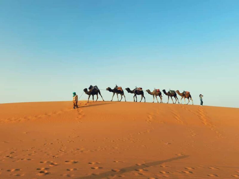 Marrakech: 3-day Merzouga Desert, Camel, Quad & Privat Tent - An In-Depth Look at the 3-Day Marrakech to Merzouga Tour
