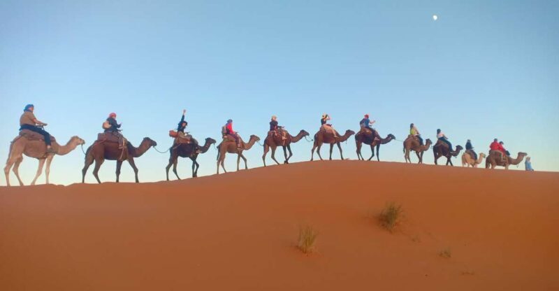 Marrakech: 3-Day Merzouga Sahara Desert Tour with Quad Ride - Final Thoughts: Who Will Love This Tour?