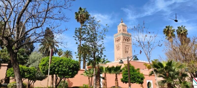 Marrakech 3-Hour Walking Tour - Key Points