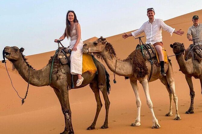 Marrakech: 3D2N Merzouga Dunes, Hotel, Camp, Camel & Sandboarding - Day 2: Enter the Magic of the Sahara