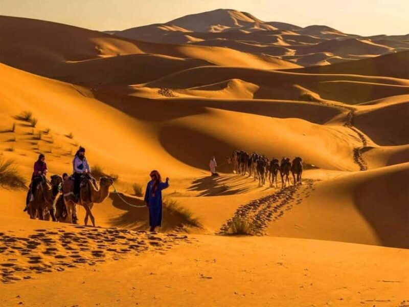 Marrakech: 4-Days Luxury Desert Tour to Fes via Merzouga - Who Should Consider This Tour?