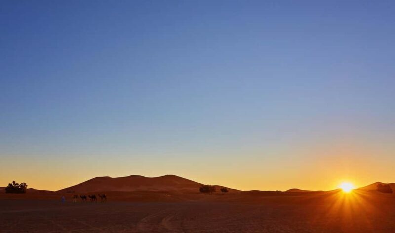 Marrakech: 5-Day Marrakech To Merzouga Desert Experience - The Journey Begins: From Marrakech to the High Atlas