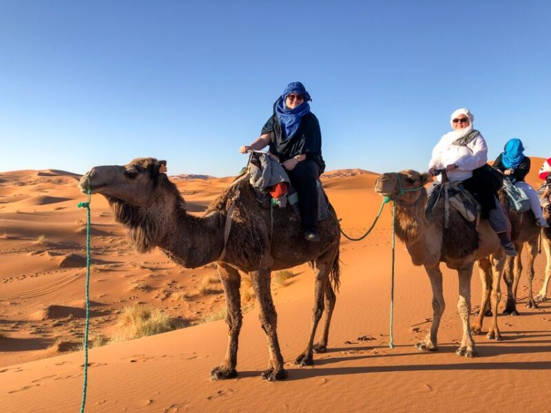 Marrakech: 5 Day Trek Atlas Mountains and Berber Village - Key Points
