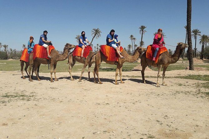Marrakech Activities: Camel Ride Tour - What We Love About This Camel Ride Experience