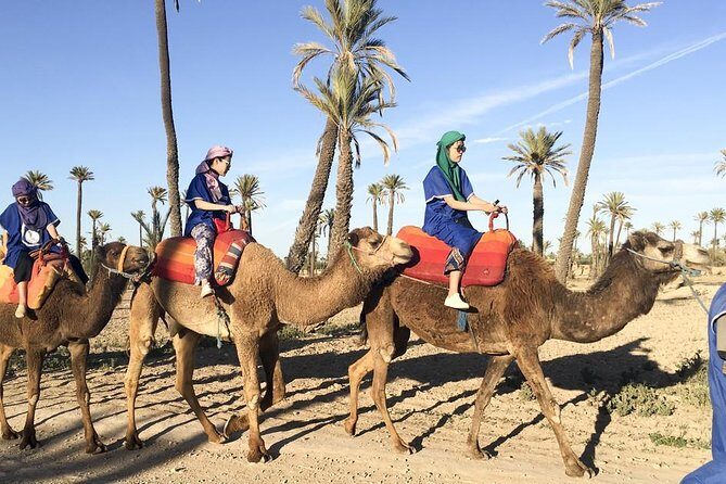 Marrakech Activities: Camel Ride Tour - A Closer Look at the Camel Ride Tour in Marrakech