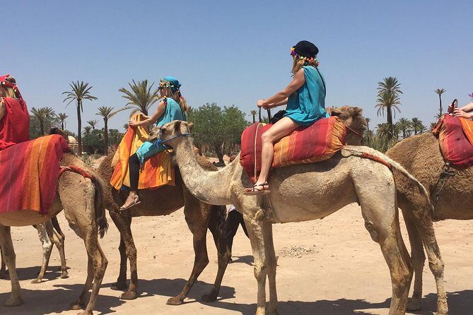 Marrakech Activities: Camel Ride Tour - FAQ