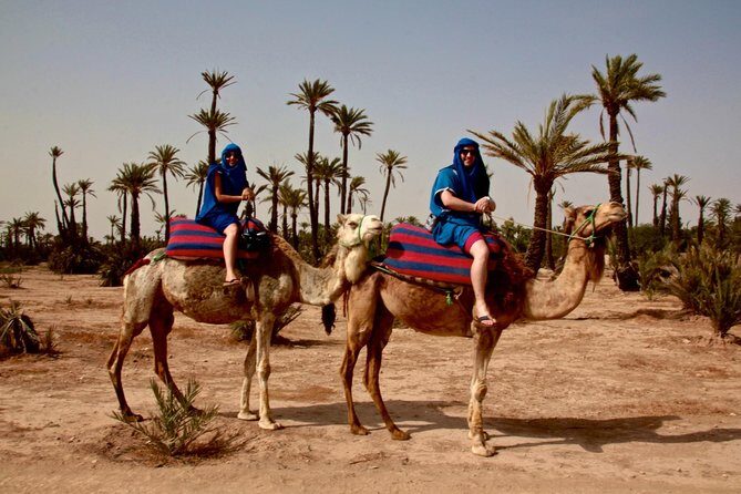 Marrakech activities: Camel ride tour Marrakech - Final Thoughts