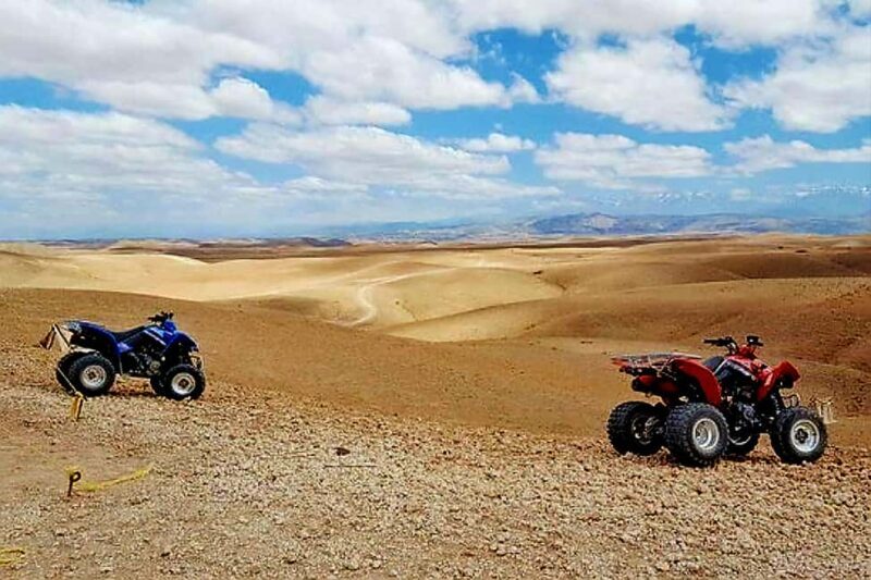 Marrakech Adventure: Agafay Desert Quad, Camel, Lunch - Who Is This Tour Best For?