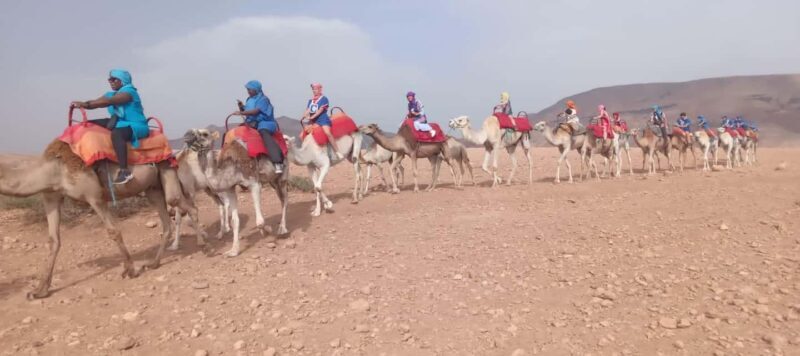 Marrakech Adventure: Agafay Desert Quad, Camel, Lunch - The Sum Up