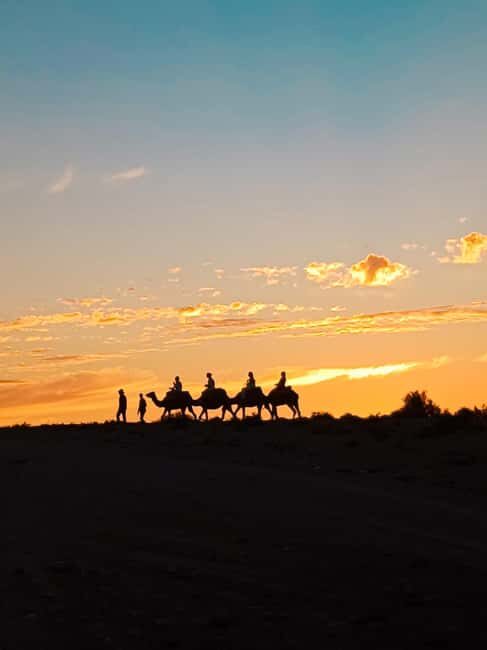 Marrakech: Agafay Camel Ride & Dinner with Fire Show Tour - Final Thoughts