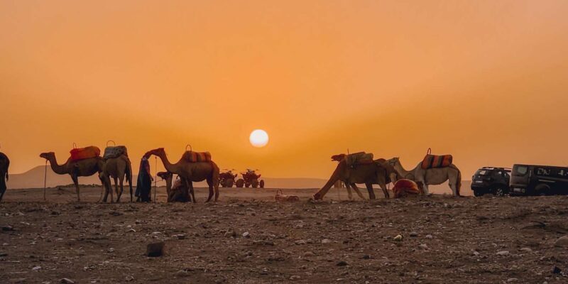 Marrakech: Agafay Camel Ride & Dinner with Fire Show Tour - FAQs