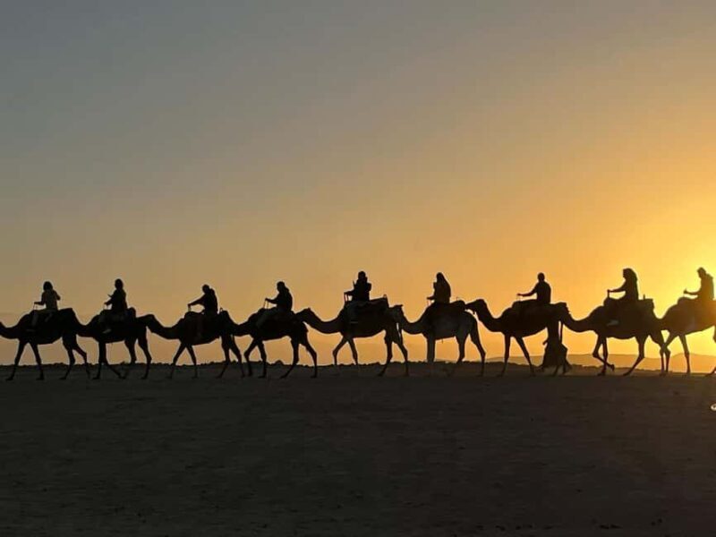 Marrakech: Agafay Camel Ride Sunset and Dinner with Show - An Overview of the Tour Experience