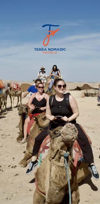 Marrakech: Agafay Camel Ride Sunset and Dinner with Show - Who Is This Tour Best For?