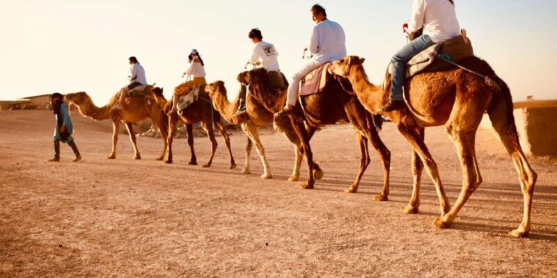 Marrakech: Agafay Camel Ride Sunset and Dinner with Show - Final Thoughts