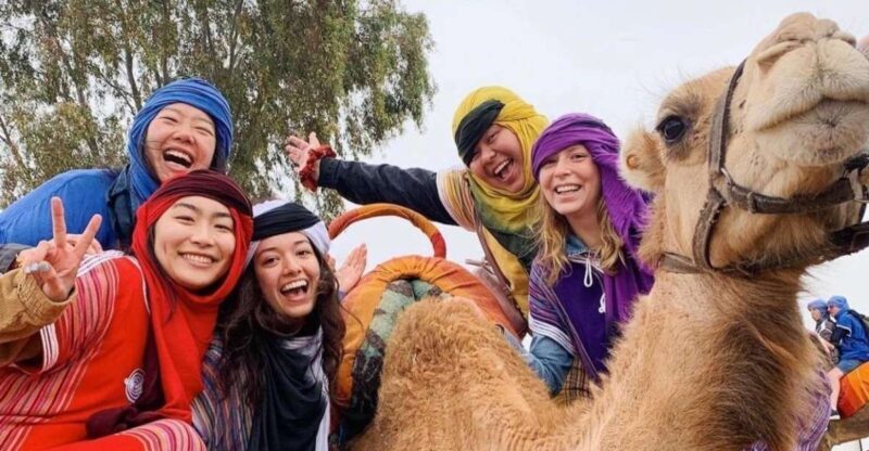 Marrakech: Agafay Desert, Atlas mountains & Waterfalls Tour - Key Points