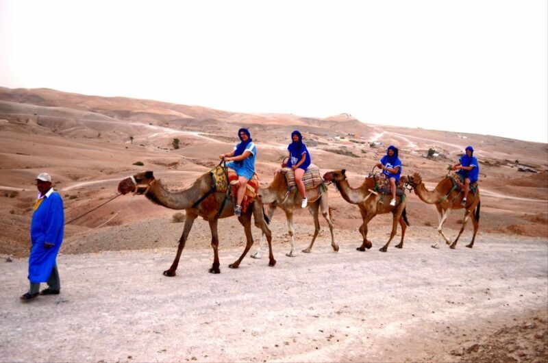 Marrakech: Agafay Desert Buggy Tour with Transfer - Value and Practical Tips