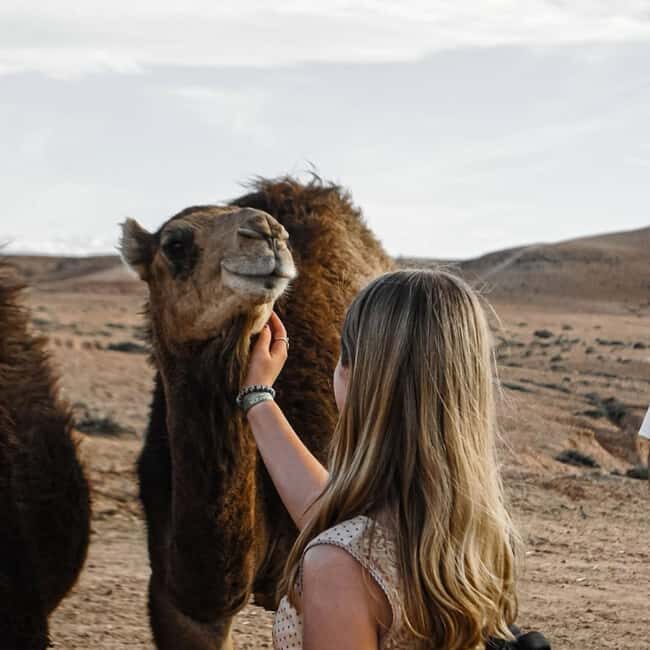 Marrakech: Agafay Desert Camel & Quad Rides with Dinner Show - Authentic Experiences We’d Highlight