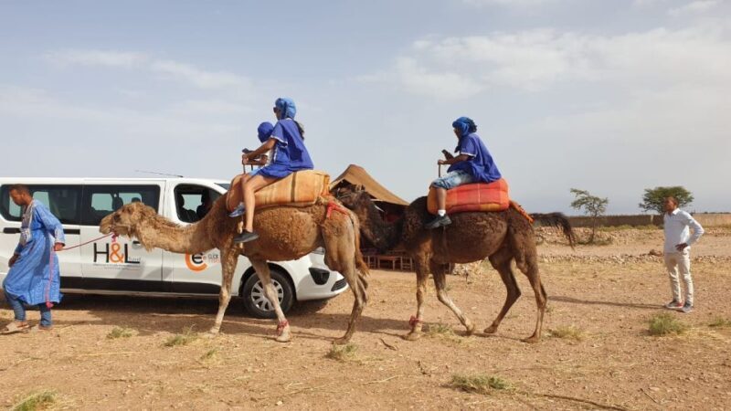 Marrakech: Agafay Desert Camel Ride and QuadBike Tour - Key Points