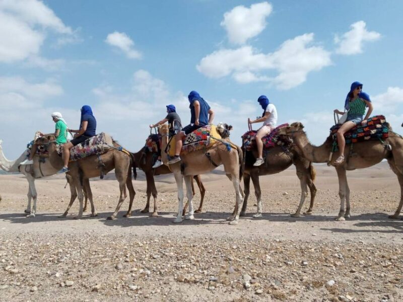 Marrakech: Agafay Desert Camel Ride and QuadBike Tour - Price and Value