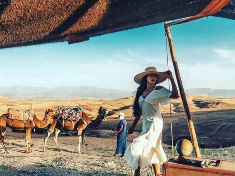 Marrakech: Agafay desert camel ride with dinner & spectacle - Who Will Love This Tour?