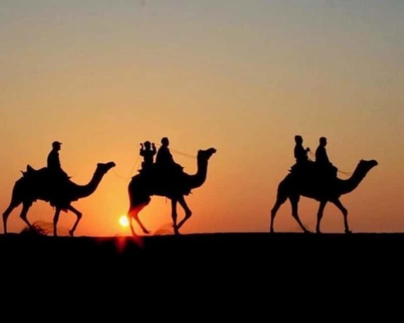 Marrakech: Agafay Desert Camel Rides, Dinner and Fire Show - Who Will Love This Experience?