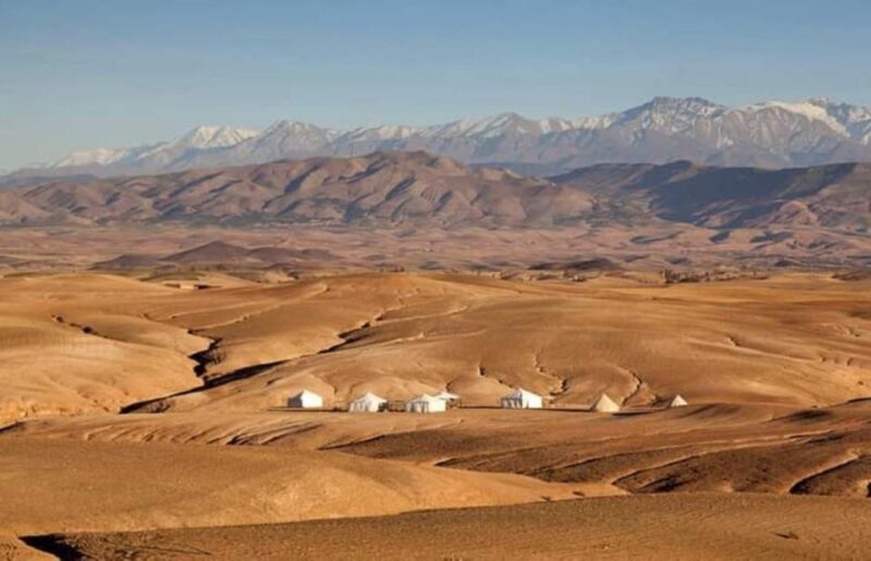 Marrakech: Agafay Desert Dinner and Sunset Camel Ride Trip - Key Points