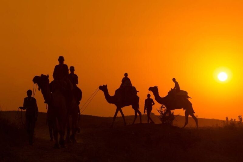 Marrakech: Agafay Desert Dinner, Camel Ride, and Music Show - A Detailed Look at the Experience