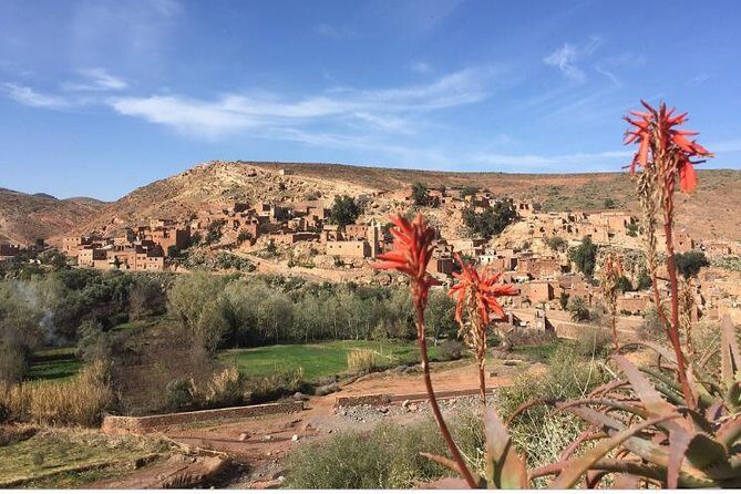 Marrakech: Agafay Desert Dinner, Camel Ride & Quad Biking. - Final Thoughts