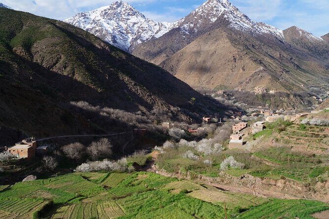 Marrakech: Agafay Desert Dinner Show and Sunset Camel Ride - Final Thoughts: Who Is This Tour Best For?