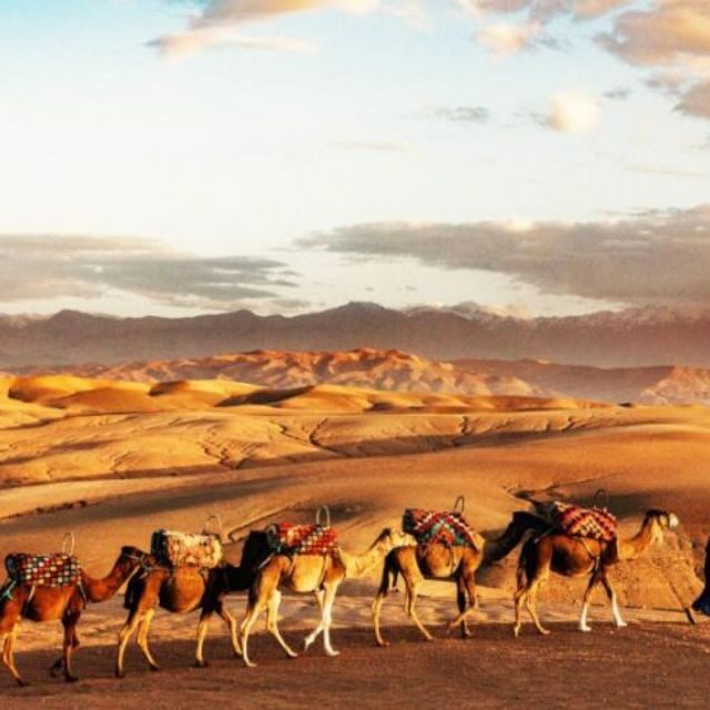 Marrakech: Agafay Desert Dinner with Music and Fire Show - FAQs