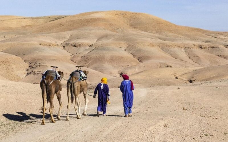 Marrakech: Agafay Desert, Lunch, Camel Ride, & Swimming Pool - A Thorough Look at the Agafay Desert Tour