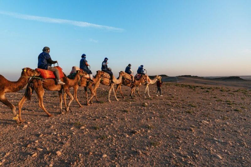Marrakech: Agafay Desert Overnight, Dinner Show & Pool - The Sum Up