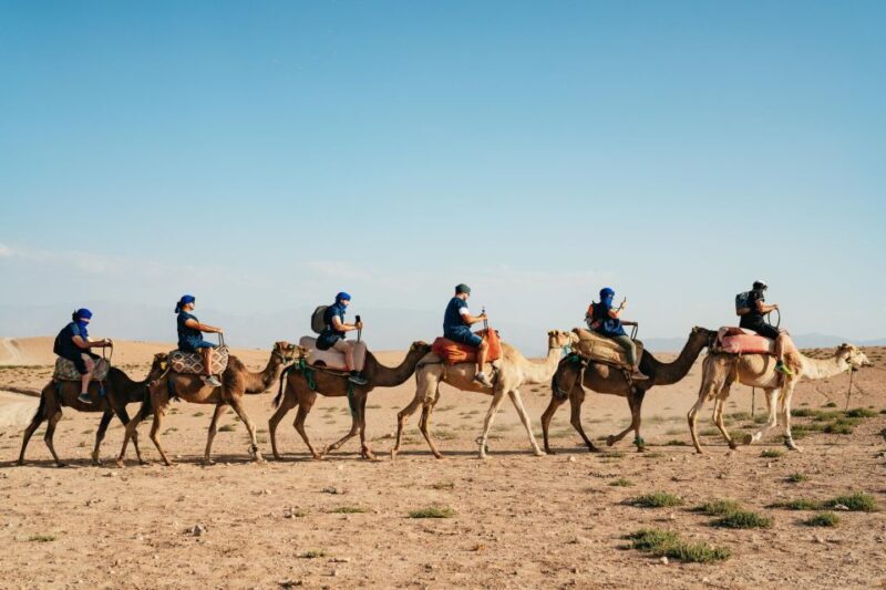 Marrakech: Agafay Desert Pool, Dinner & Live Show Experience - Final Thoughts
