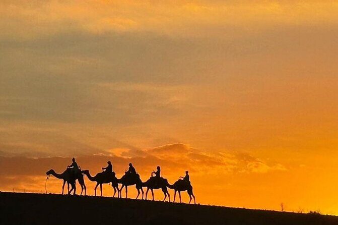 Marrakech: Agafay Desert Quad Biking & Camel Trek & Dinner & Show - FAQ